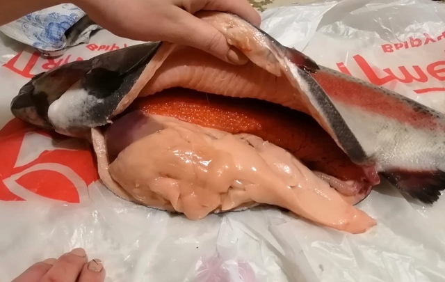 Внутренности и обрезь из форели, замороженные